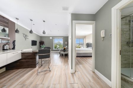 La Rochelle, Christchurch, Dublin 8 - Photo 4