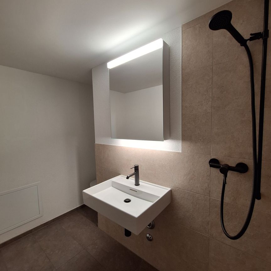 Erstbezug Loft-Maisonette mit Cheminée auf 120 m2 - Photo 1