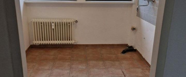 Helle 2-Zi-Dachgeschosswohnung in ruhiger Lage von Essen-Bochold - Photo 1