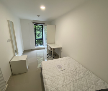 3 bedroom flat to rent - Photo 4 | Rentumo