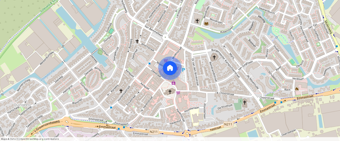 Molenstraat, 2681BS, Monster