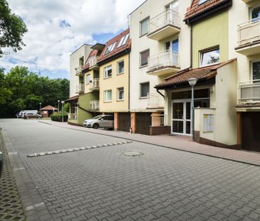 Przestronne 2 pok. | Balkon | Osobowice | po remoncie - Zdjęcie 6