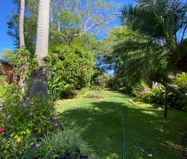 6 Vine Street, Ashfield NSW 2131 - House For Rent | Domain - Photo 2