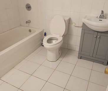 For Lease - 41 Fraserton Crescent Unit# Basement, Toronto, Ontario - Photo 4