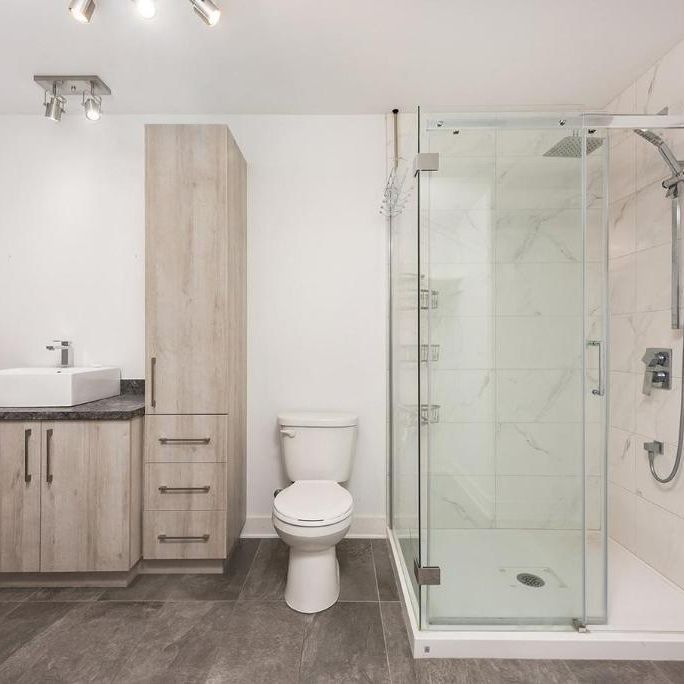 Beau grand 5 1/2, Ormstown, Libre maintenant ! - Photo 1