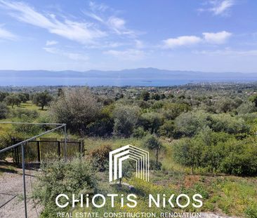 Μονοκατοικία για ενοικίαση Μαγούλα (Ερέτρια) - Photo 4