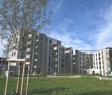 Neue 3.5-Zimmerwohnung zu vermieten - Foto 5