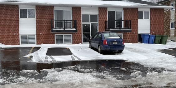 4 1/2 Rénové Secteur Tranquille - Photo 3