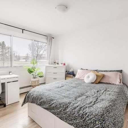 Appartement 3 ½ à louer Sainte-Foy / Sillery novembre 2025 - Photo 3