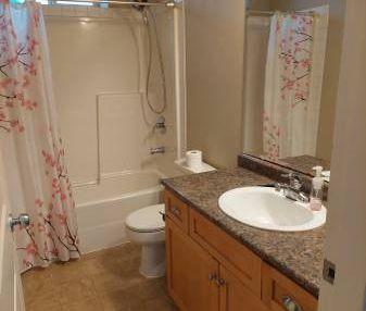 2 bedroom basement suite - East Abbotsford - Photo 4