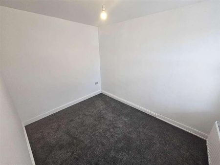 Diana Street, Roath, Cardiff, CF24 - Photo 4