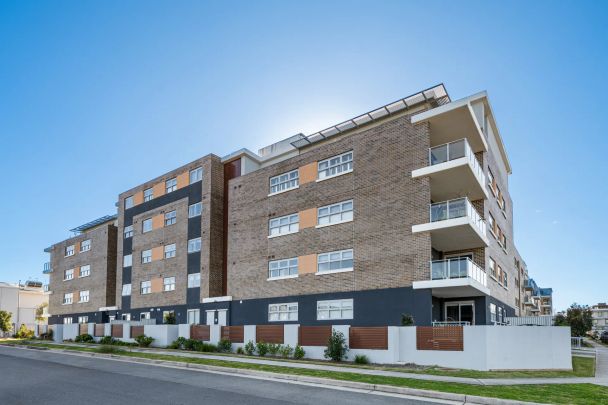 Modern Executive Living with Blue Mountains Views - Photo 1