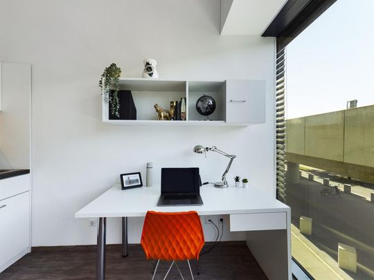 Basic Bude 1.01.04 - Photo 1