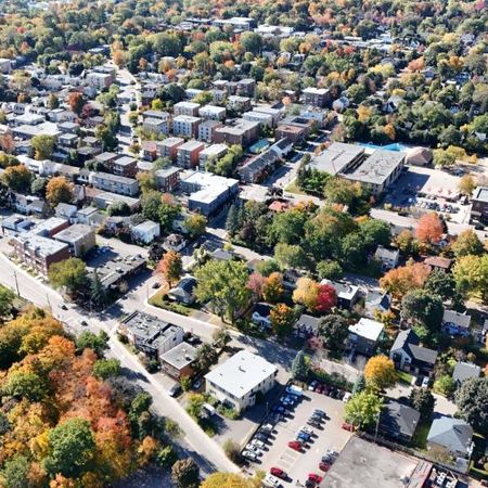 Grand 3 1/2 récent à Sillery *LIBRE IMMÉDIATEMENT* - Photo 3