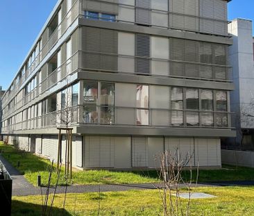 "Neubauwohnung an ruhiger Lage im Grünen im Kleinbasel" - Photo 5