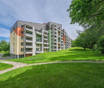 1.5 Zimmer, 37 m², 6. Stock - Foto 4
