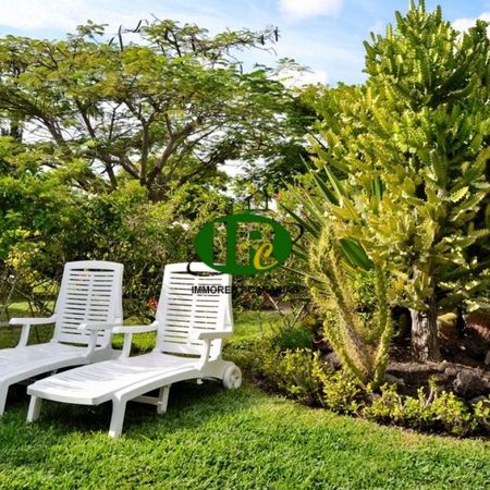 Bungalow with 1 bedroom and large garden area, topp equipped - Photo 3