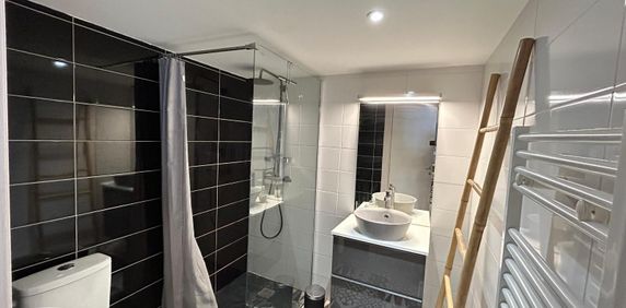 Location Appartement 1 pièce 24m² ST ETIENNE 42000 - Photo 2