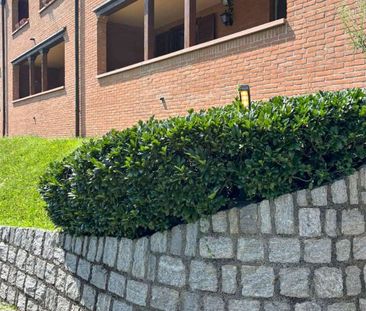 Lake view apartment in residence with swimming pool in Savosa - Foto 1