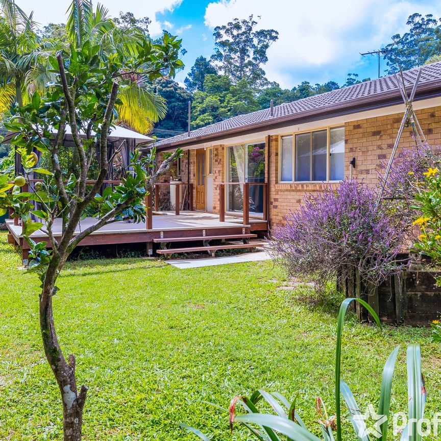 7 Mayon Court, Tamborine Mountain QLD 4272 - Photo 1