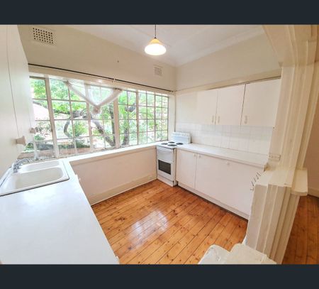 66 Ewart Street, Marrickville, NSW 2204 - Photo 4