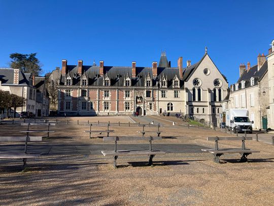 APPARTEMENT F1 / STUDIO MEUBLE A LOUER EN COURTE DUREE - A BLOIS - BELLES PRESTATIONS - VUE SUR CHÂTEAU & LOIRE - Photo 1