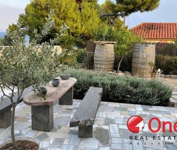 Μονοκατοικία για ενοικίαση - Αίγινα - Photo 6
