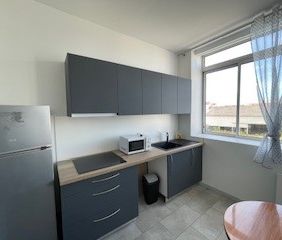 APPARTEMENT VILLEURBANNE - T2 - 30.66 m² Villeurbanne (69100) - Photo 6