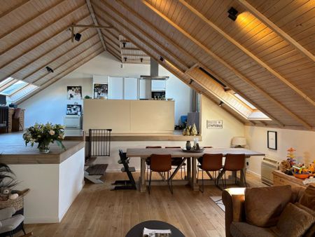 SERSKAMP - Luxueuze loft met groot terras. - Photo 3