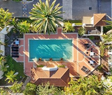 A Peaceful, Comfortable & Fully Renovated Townhouse in Ashmore - Photo 5