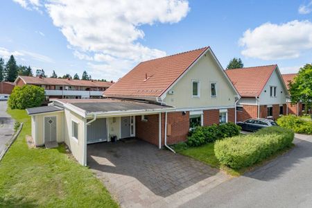 Allvädersgränd, Skellefteå - Foto 4