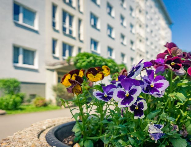 3-Raum-Wohnung - Photo 1