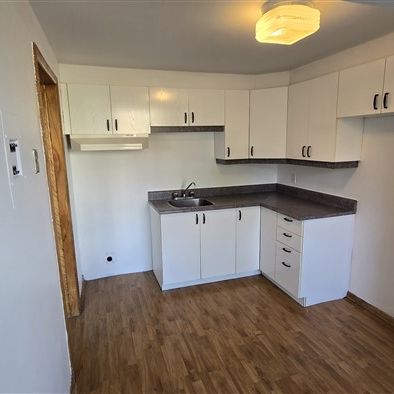 961-1 rue Perry, Sherbrooke, J1H 3Z5 3½ Vacant - Photo 1