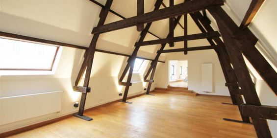 In optie - Loft te huur in Sint-Niklaas met 1 slaapkamer - Photo 3