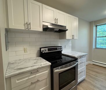 For Lease - 75 High Street Unit# 108, London South, Ontario - Photo 3