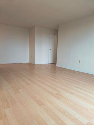 44 Oxford Apartments - Photo 1