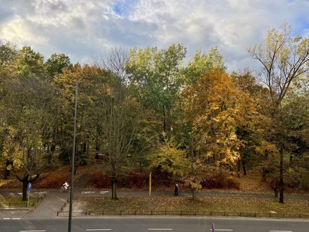 POWIŚLE wysoki standard, przy parku - Фото 5