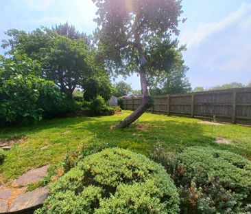 2 bedroom House To Let - Photo 5