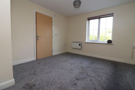 1 bedroom House To Let - Photo 4