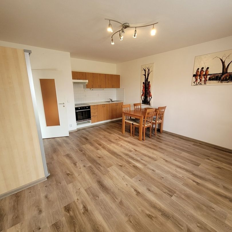 Pronájem bytu 1+kk v osobním vlastnictví 33 m², Beroun - Fotografie 1