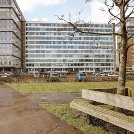 Bos en Lommerplantsoen 1055 Amsterdam - Foto 4