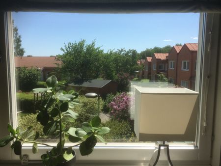 Bergshamra allé, Solna - Photo 5