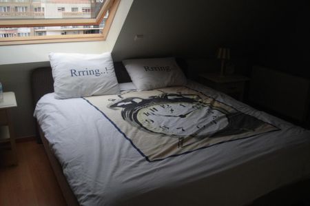 Te Huur: Nieuwpoort - Foto 5