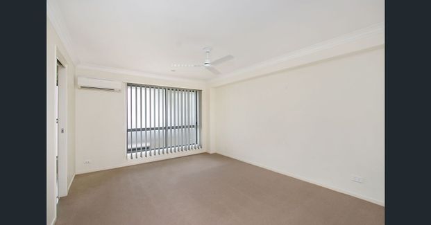 A Coomera Waters Gem - Photo 1