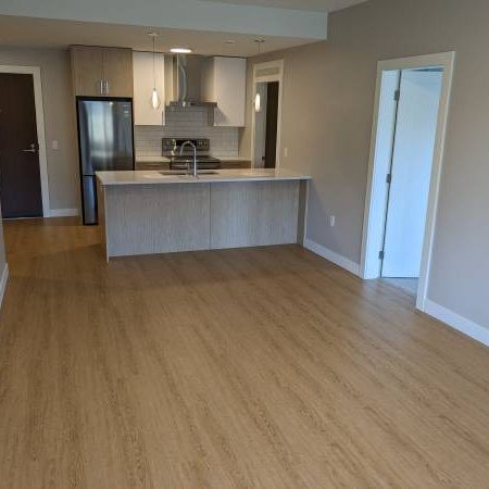 Beacon on the Park - 2 Bed, 2 Bath, and Beautiful Patio $2990 - Photo 3