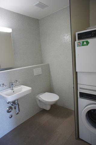 4 ½ Zimmer-Wohnung in Schwerzenbach mieten - Photo 4