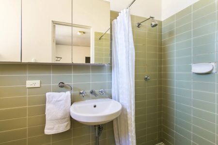 Gorgeous City Pad in the heart of Annandale - Photo 4