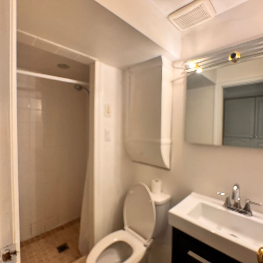 For Lease - 14 Blue Spruce Lane Unit# Basement, Markham, Ontario - Photo 1