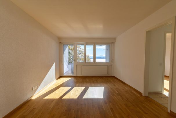 Appartement avec vue sur le lac - Foto 1