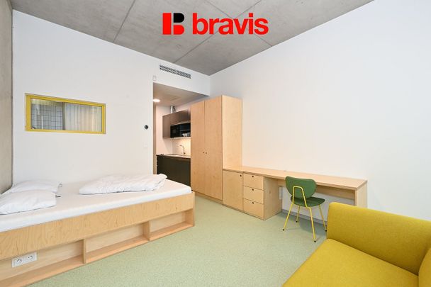 Pronájem bytu 1+kk 24 m² - Fotografie 1